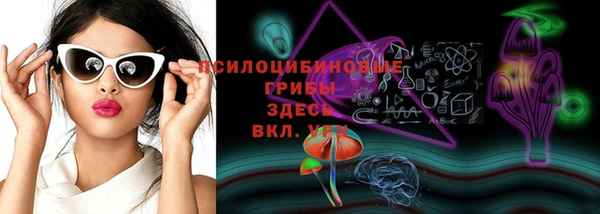 молекула духа Богородск