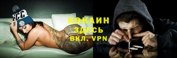 эйфоретик Богданович