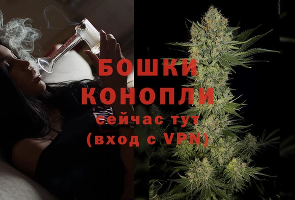 эйфоретик Богданович