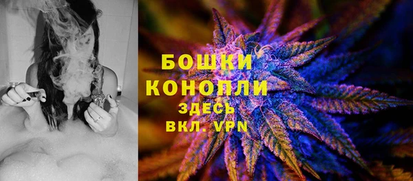 прущий лед Богородицк