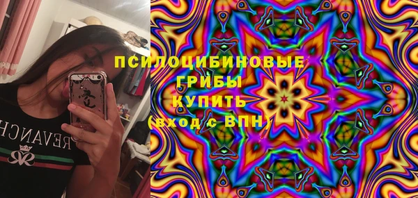 эйфоретик Богданович