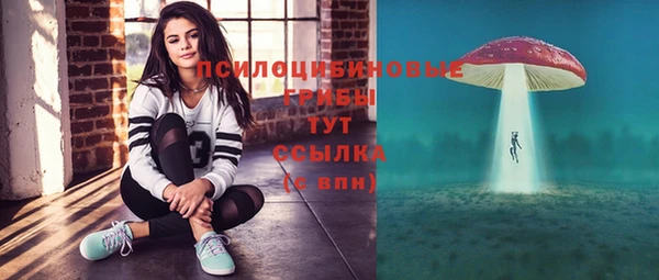 прущий лед Богородицк